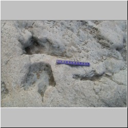 100_0435 (2009-26-07)cr.jpg